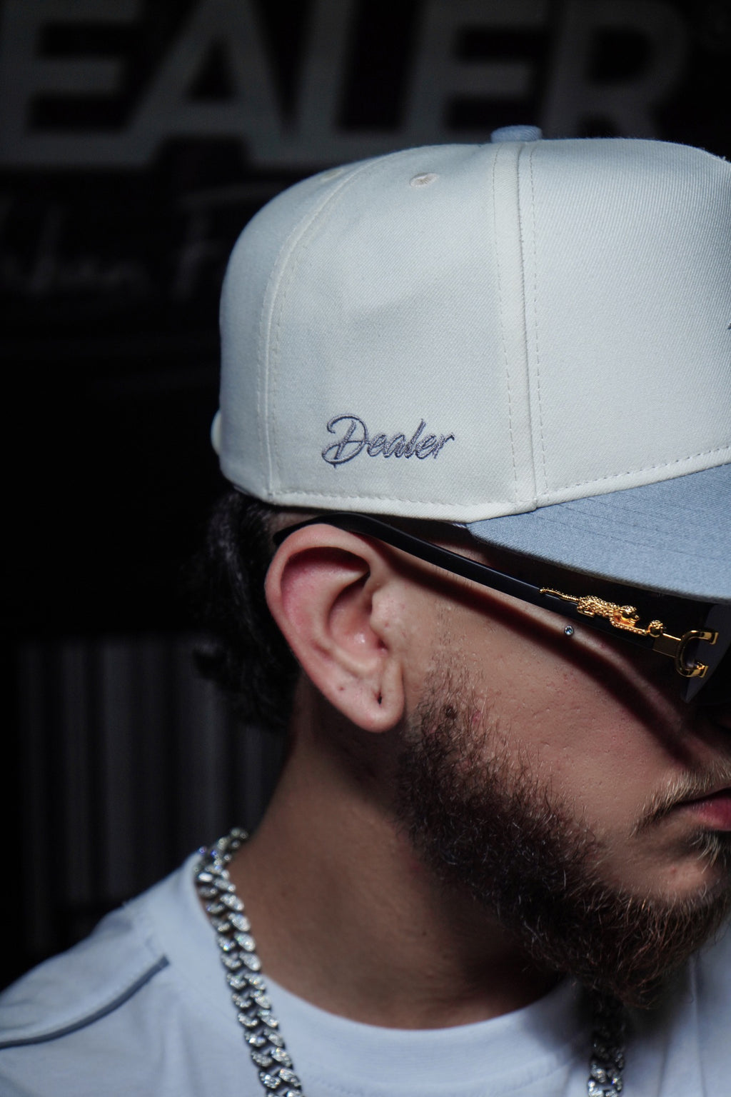 GORRA D DEALER LOGO GRIS