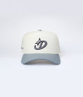 GORRA D DEALER LOGO GRIS